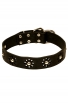 Fancy Dog Collar with Nickel Decoration for Walking in Style