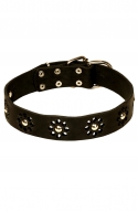 Fancy Dog Collar with Nickel Decoration for Walking in Style
