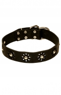 Fancy Dog Collar with Nickel Decoration for Walking in Style