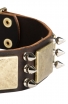 Amstaff Collar with Silver-like Spikes and Old Brass Massive Plates