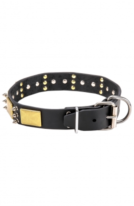 Buy Designer Leather Doberman Collar with Spikes | Dog Collars