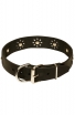 Fancy Dog Collar with Nickel Decoration for Walking in Style