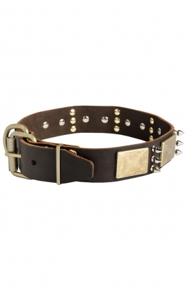 Labrador Collar with Silver-like Spikes and Old Brass Massive Plates