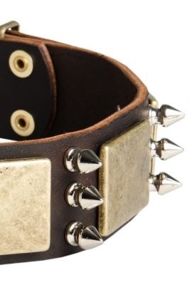 Rottweiler Collar with Silver-like Spikes and Old Brass Massive Plates