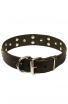 Cool Dog Collar with with Riveted Decorations “Silver Knights”