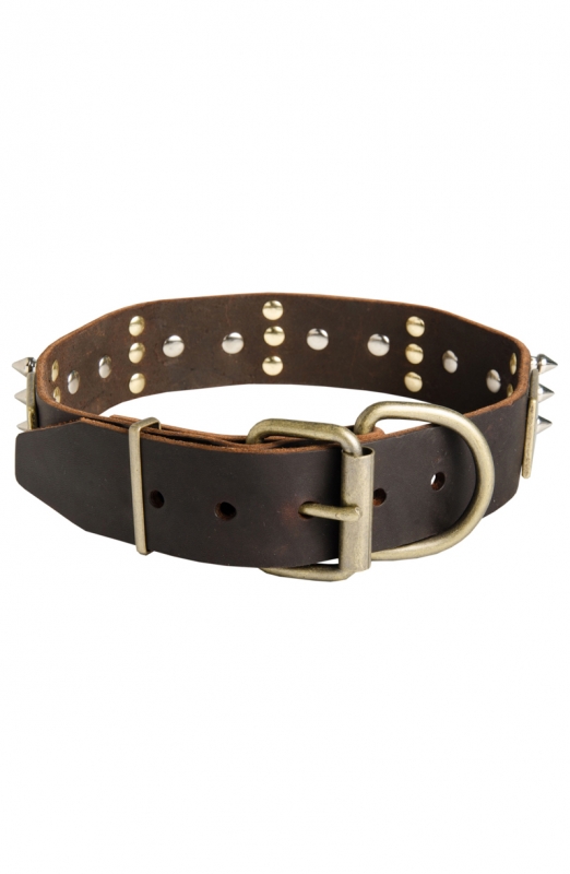 Get Decorated with Spikes and Plates Leather Collar for Siberian Husky