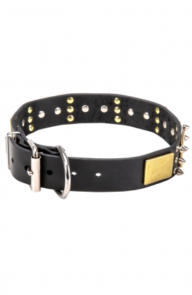 Leather Mastiff Collar with Silver Color Spikes and Vintage Brass Plates