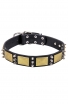 Leather Mastiff Collar with Silver Color Spikes and Vintage Brass Plates