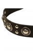 Cool Dog Collar with with Riveted Decorations “Silver Knights”