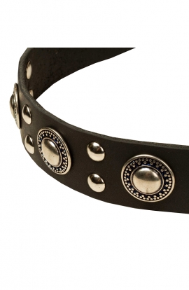 Cool Dog Collar with with Riveted Decorations “Silver Knights”