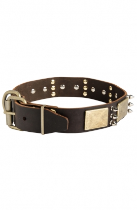 Stylish Shar Pei Collar with Silver Color Spikes and Vintage Brass Plates