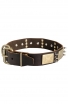 War-Style Leather American Bulldog Collar with Silver-like Spikes and Vintage Brass Plates Catalog   Products