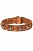 Cool Dog Collar with with Riveted Decorations “Silver Knights”