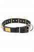 War-Style Leather Pitbull Collar with Spikes and Massive Brass Plates