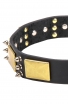 War-Style Leather Pitbull Collar with Spikes and Massive Brass Plates