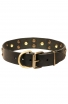 Studded Dog Collar with Brass Decorations “Golden Knights”