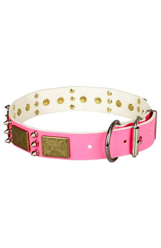 Buy Pink Leather Dog Collar with Spikes and Old Brass Massive Plates