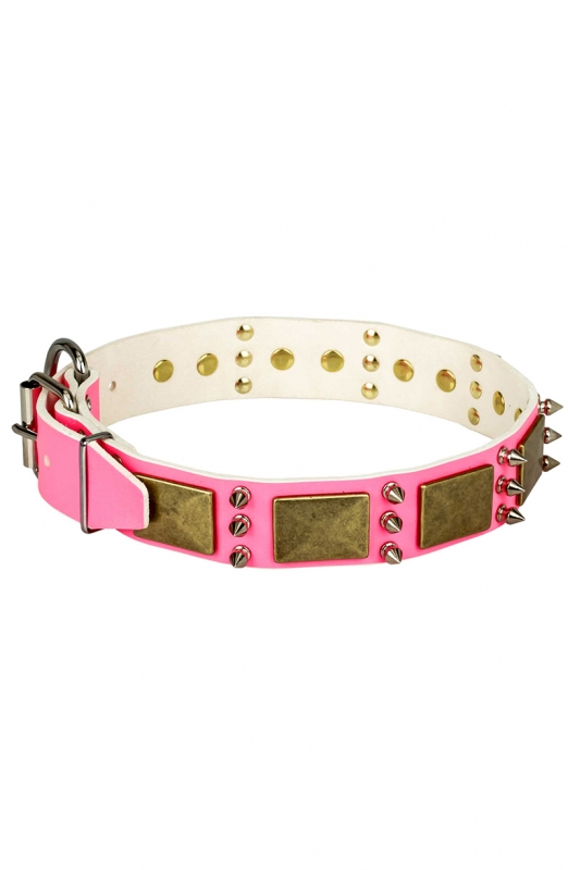 Buy Pink Leather Dog Collar with Spikes and Old Brass Massive Plates