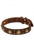 Studded Dog Collar with Brass Decorations “Golden Knights”