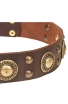 Studded Dog Collar with Brass Decorations “Golden Knights”