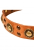 Studded Dog Collar with Brass Decorations “Golden Knights”