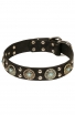 Fancy Studded Leather Dog Collar with Silver-Like Adornment “Blue Ice”