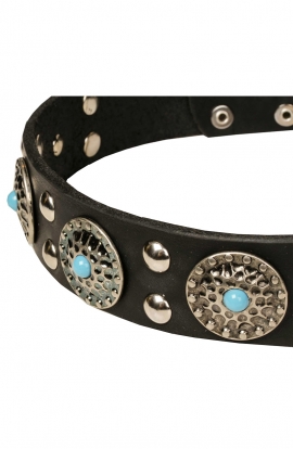 Fancy Studded Leather Dog Collar with Silver-Like Adornment “Blue Ice”