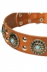 Fancy Studded Leather Dog Collar with Silver-Like Adornment “Blue Ice”