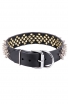 Fashion Fully Spiked Leather Dog Collar Predator