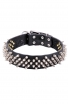 Fashion Fully Spiked Leather Dog Collar Predator