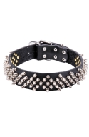 Fashion Fully Spiked Leather Dog Collar "Predator"