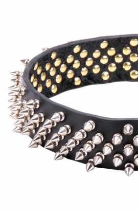 Fashion Fully Spiked Leather Dog Collar Predator