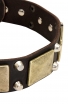 Vintage Leather Bulldog Collar with Old Brass Massive Plates and Nickel Plated Cones