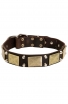 Amstaff Leather Collar with Massives Plates and Nickel Pyramids