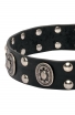 Strong Leather Dog Collar with Massive Plates and Studs