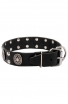 Strong Leather Dog Collar with Massive Plates and Studs