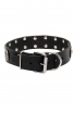 Strong Leather Dog Collar with Massive Plates and Studs