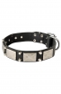 Leather Boxer Collar with Vintage Nickel Plated Decor