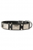 Leather Amstaff Collar with Old Nickel Plated Decor