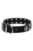 Strong Leather Dog Collar with Massive Plates and Studs