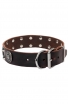 Strong Leather Dog Collar with Massive Plates and Studs