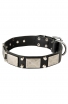 Leather Rottweiler Collar with Old Nickel Plated Decor