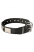 Leather Rottweiler Collar with Old Nickel Plated Decor