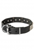 Leather Rottweiler Collar with Old Nickel Plated Decor