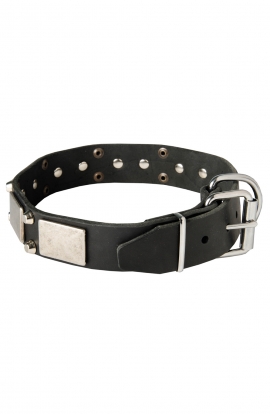 Leather Mastiff Collar with Old Nickel Plated Decor