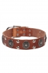 Strong Leather Dog Collar with Massive Plates and Studs