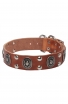 Strong Leather Dog Collar with Massive Plates and Studs