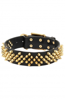 Decorative Fully Spiked Leather Collar with Brass Spikes