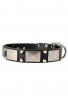 Leather American Bulldog Collar with Old Nickel Plated Decor
