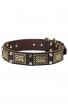 English Bull Terrier Collar with Vintage Brass Plates and Nickel Studs